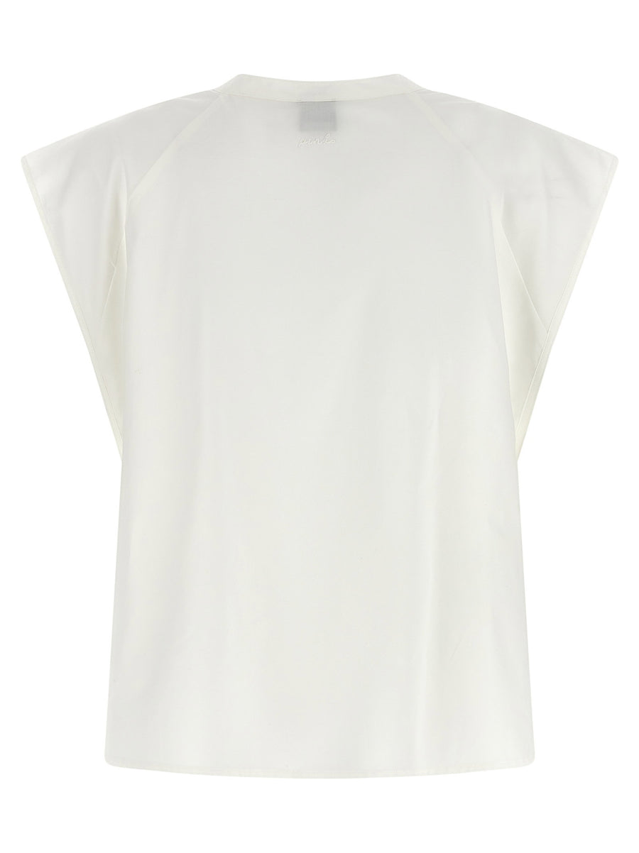 Pinko Apecchio Blouse