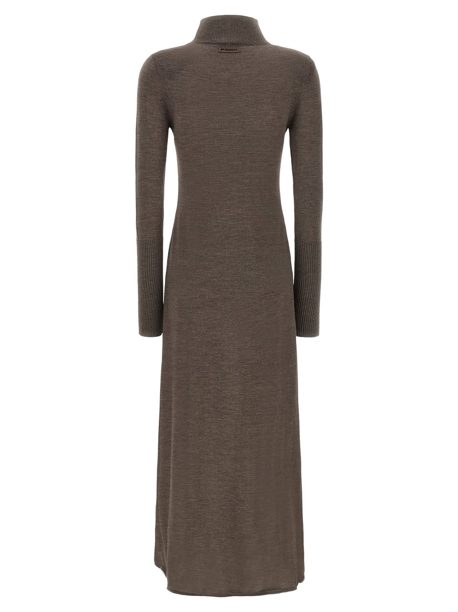 Pinko Turtleneck Dress