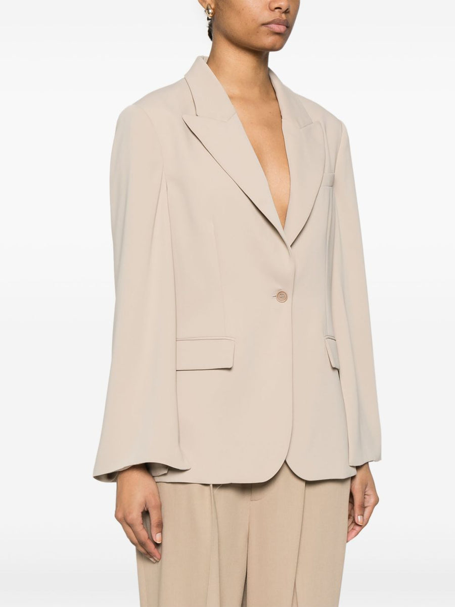 Parosh P.A.R.O.S.H. Single-Breasted Blazer
