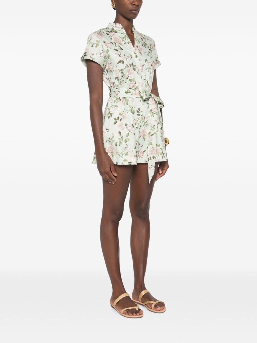 Alice + Olivia Dresses