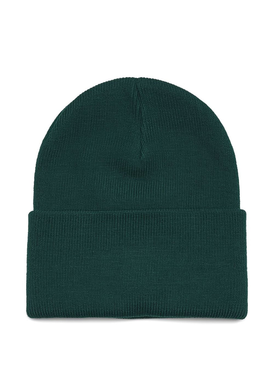 CARHARTT WIP MAIN Hats CAMEL