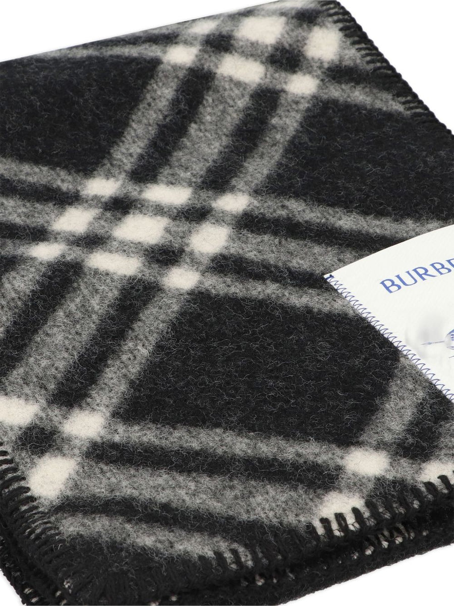 Burberry Scarfs