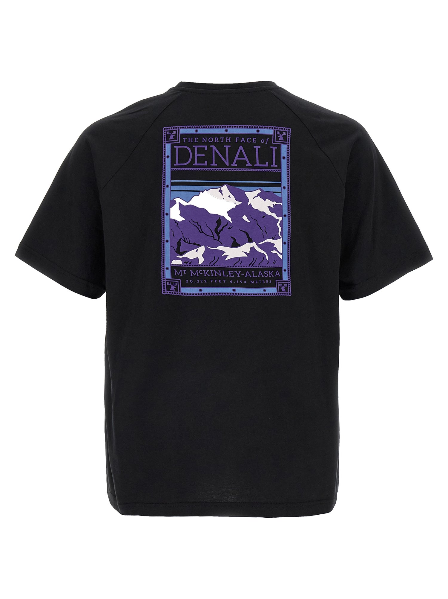 The North Face North Faces T-shirt